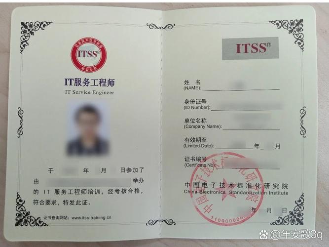 为了促进企业信息技术服务